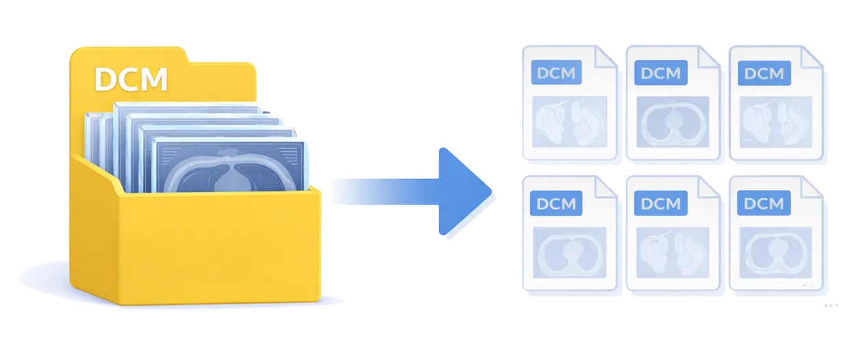 DICOM to DCM converter